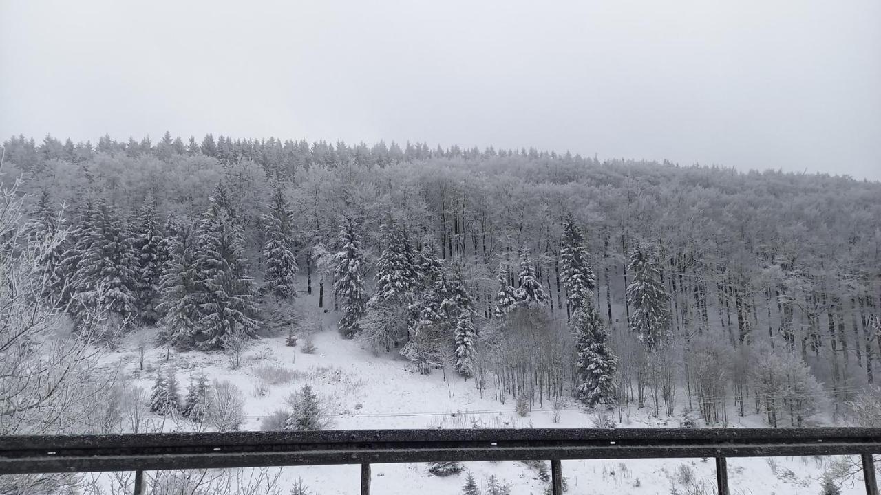 Monteur- Und Ferienwohnung Waldrauschen Fehrenbach Esterno foto