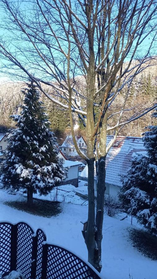 Monteur- Und Ferienwohnung Waldrauschen Fehrenbach Esterno foto