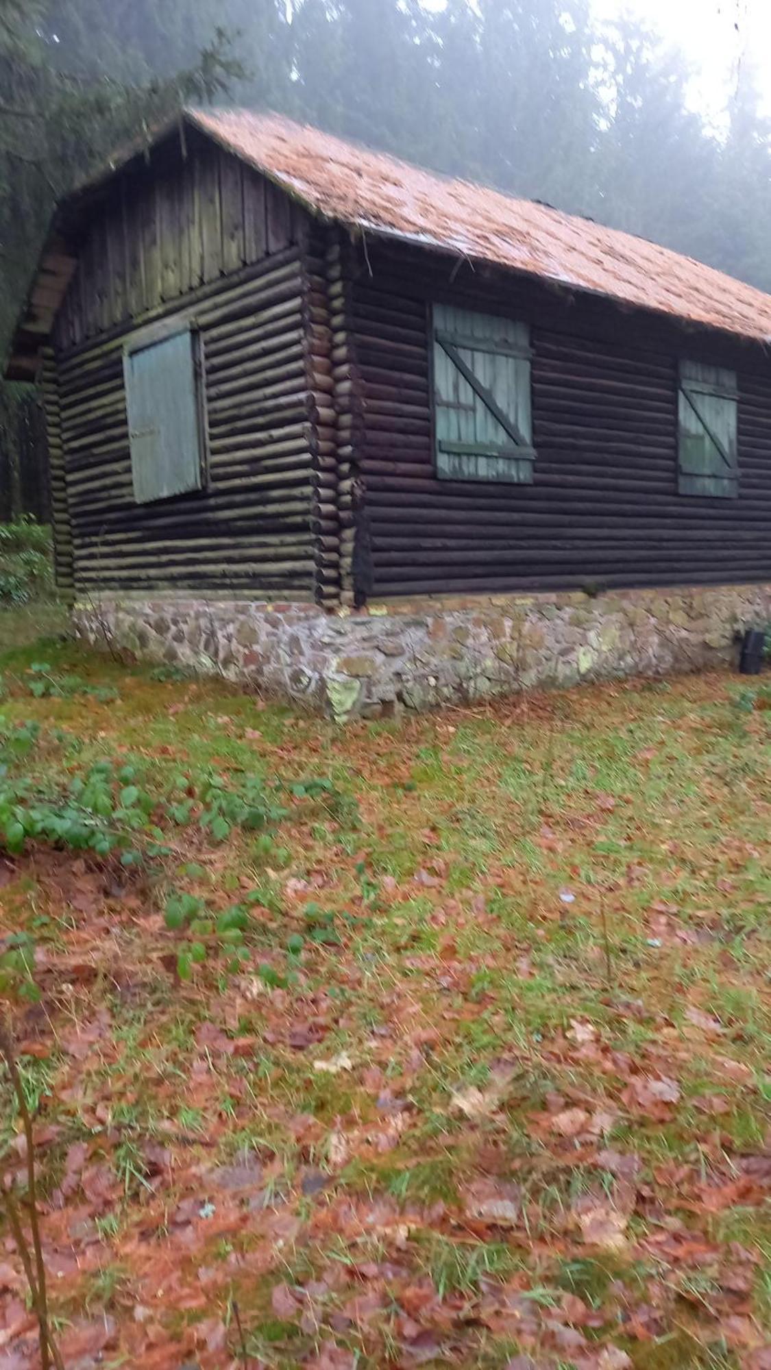 Monteur- Und Ferienwohnung Waldrauschen Fehrenbach Esterno foto