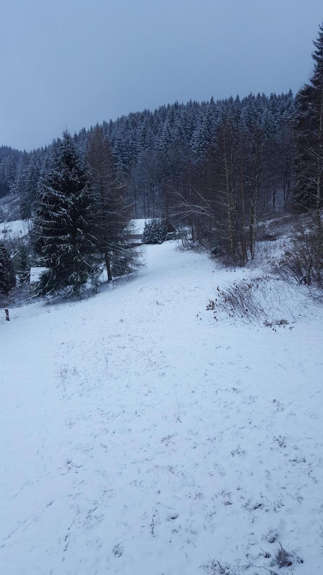 Monteur- Und Ferienwohnung Waldrauschen Fehrenbach Camera foto