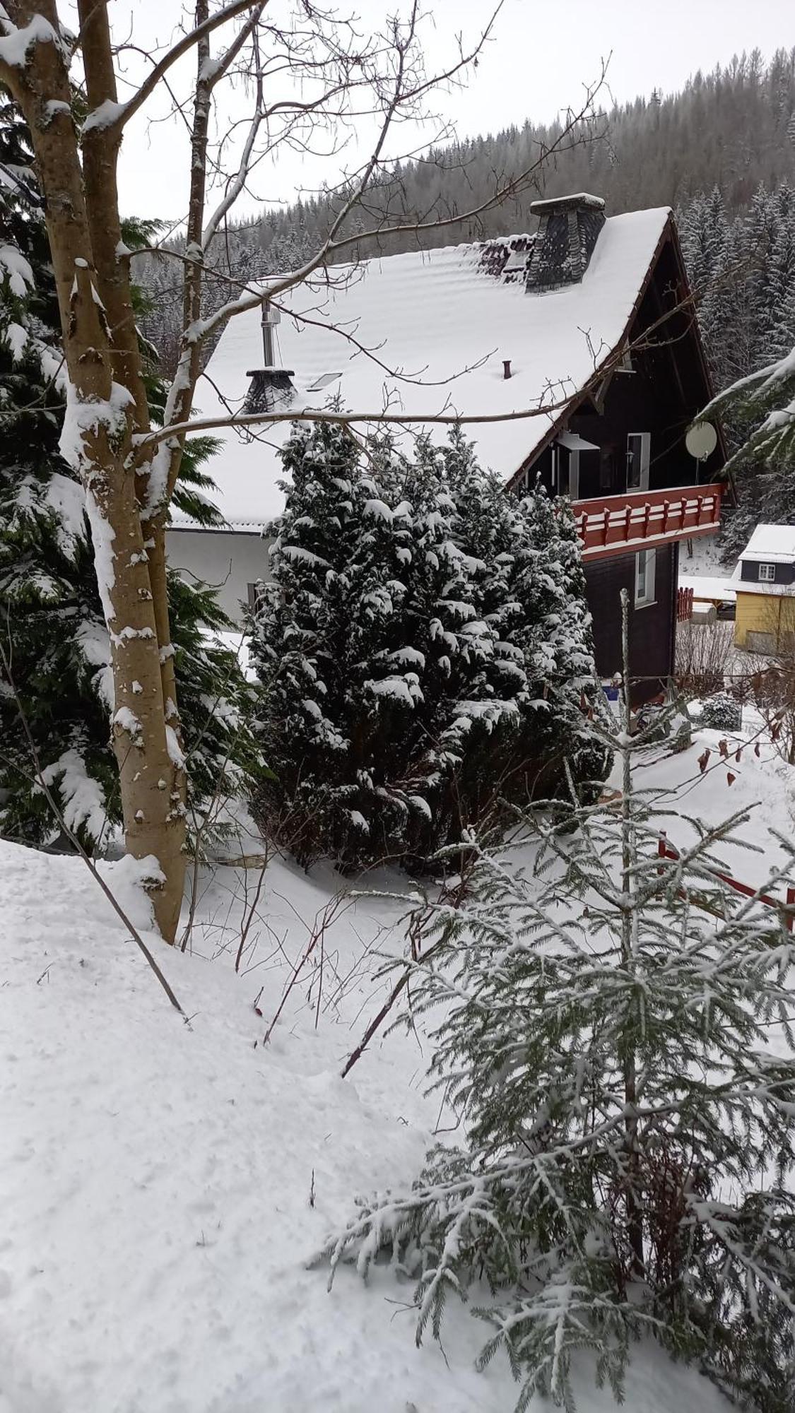 Monteur- Und Ferienwohnung Waldrauschen Fehrenbach Camera foto