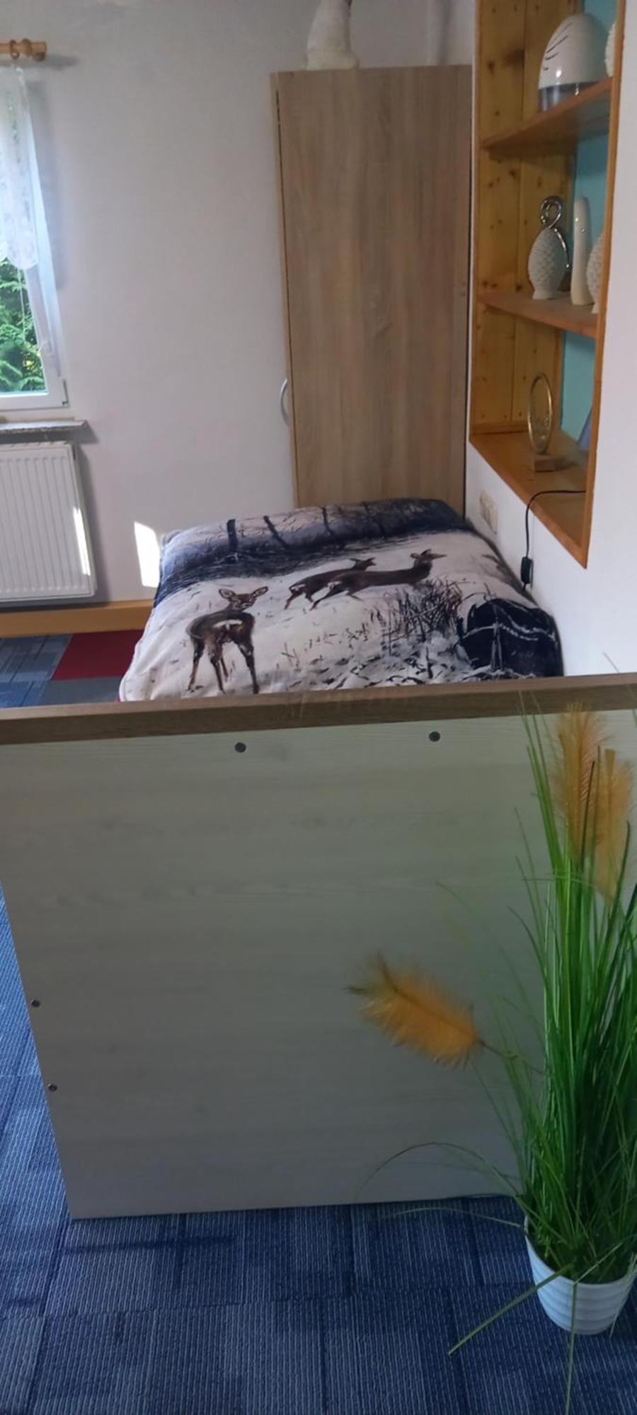 Monteur- Und Ferienwohnung Waldrauschen Fehrenbach Esterno foto